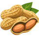 Premium Ingredients